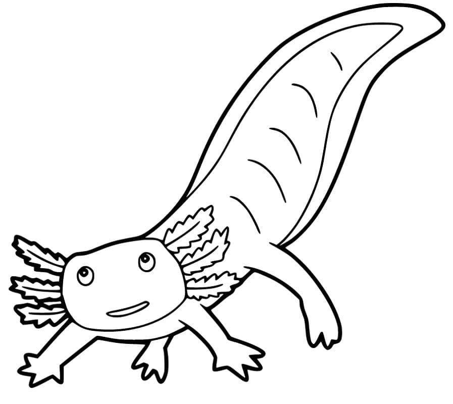Axolotl coloring pages
