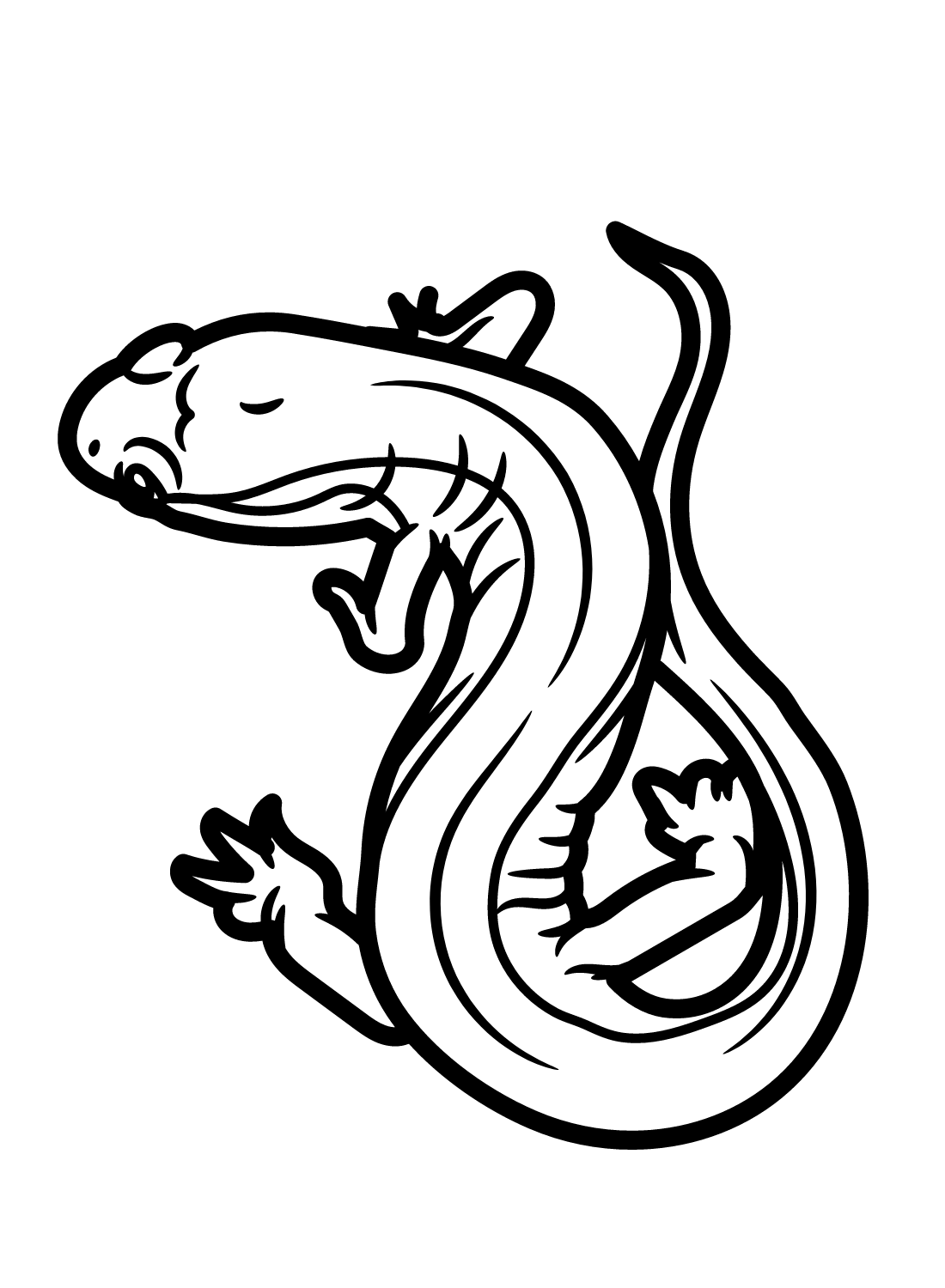 Salamander coloring pages printable for free download