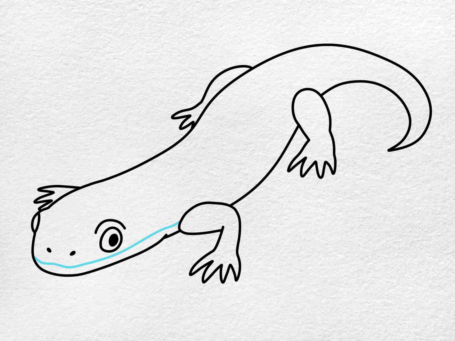 Tiger salamander drawing