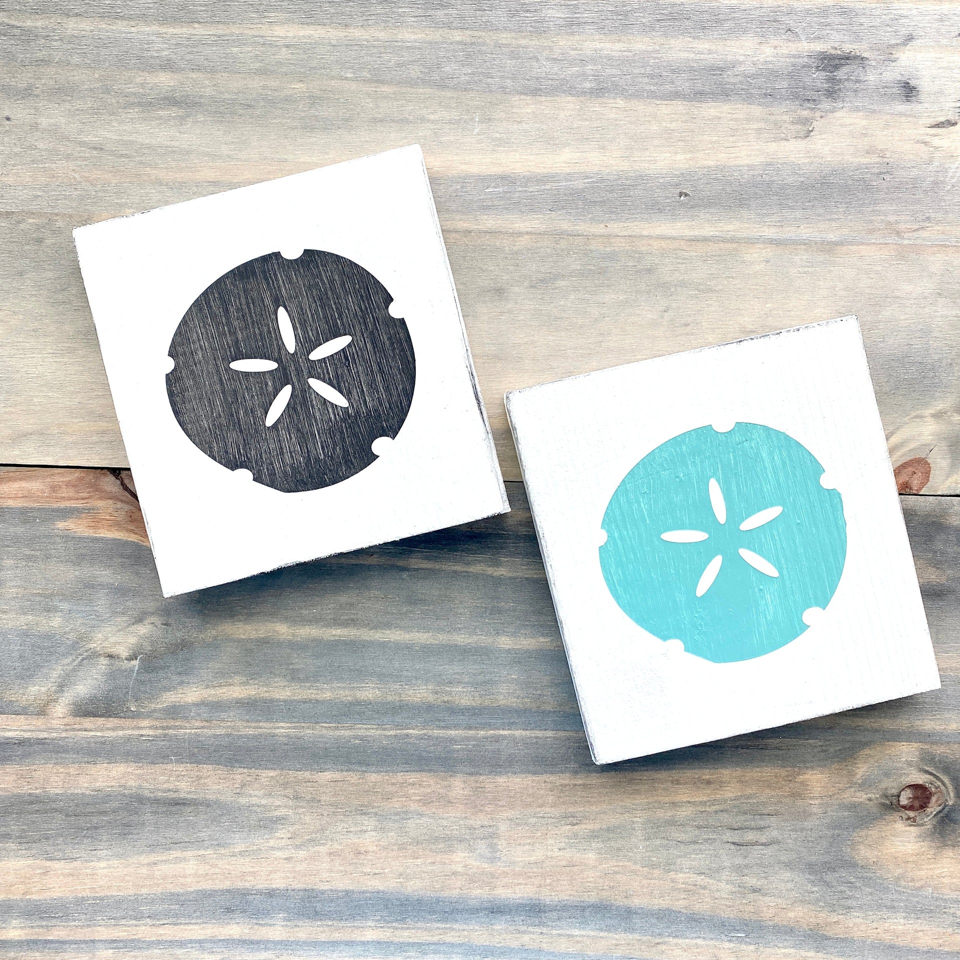 Sand dollar sign â anchored soul designs