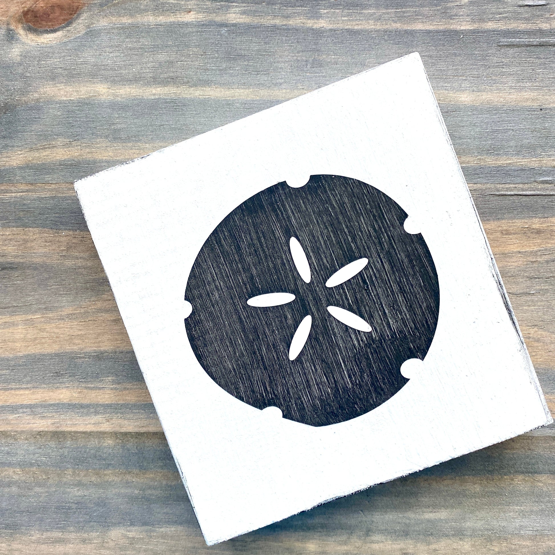Sand dollar sign â anchored soul designs