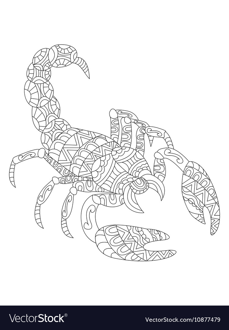 Scorpion coloring for adults royalty free vector image