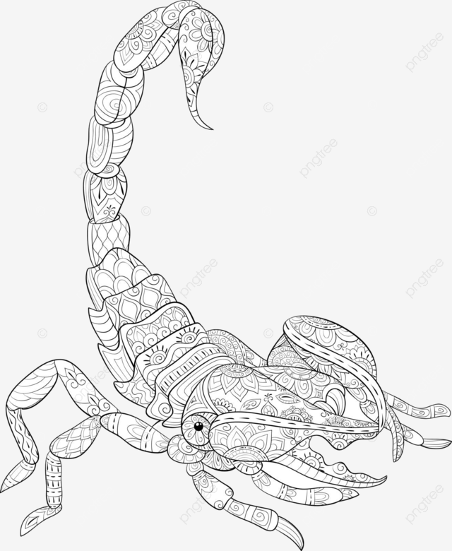 Unwind with a scorpion coloring page in an adult coloring book vector book drawing wind drawing ring drawing png and vector with transparent background for free download