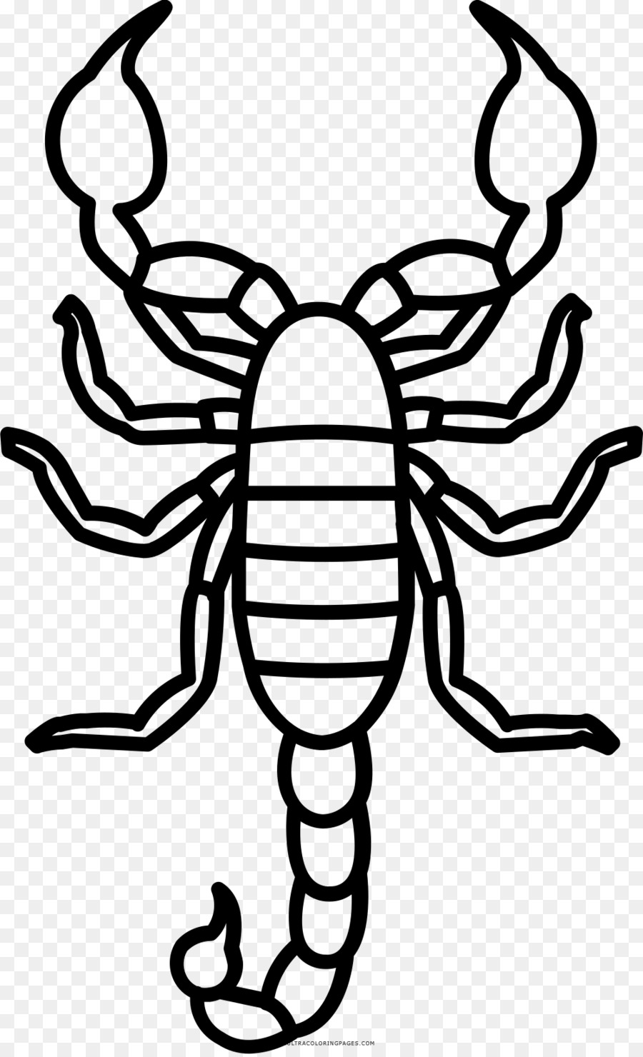 Book drawing png download