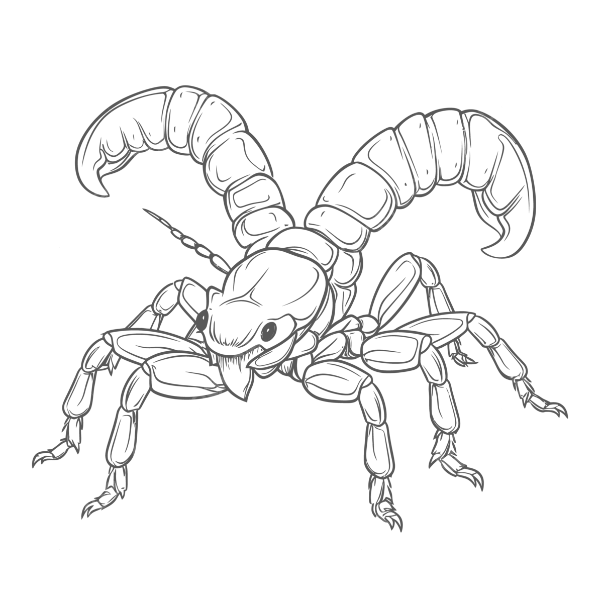 Scorpion coloring pages to download outline sketch drawing vector wing drawing ring drawing color drawing png and vector with transparent background for free download