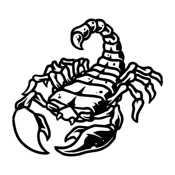 Scorpion vintage tattoo template stock illustration