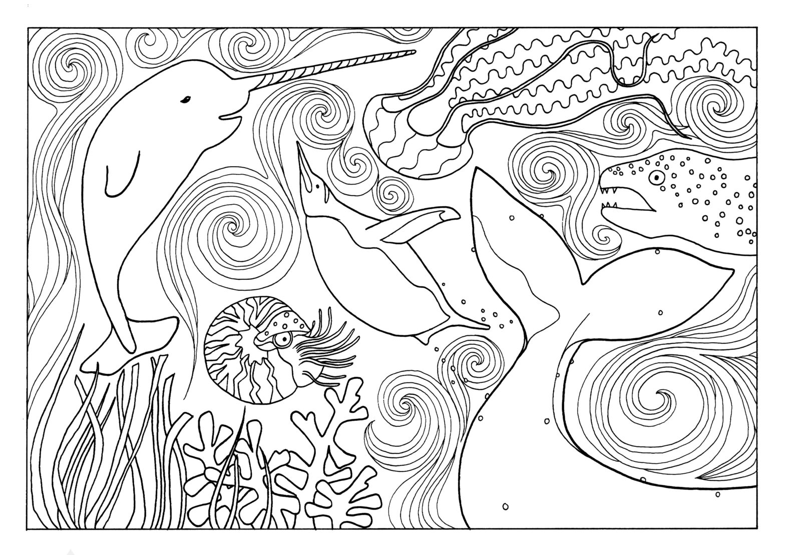 Ocean life