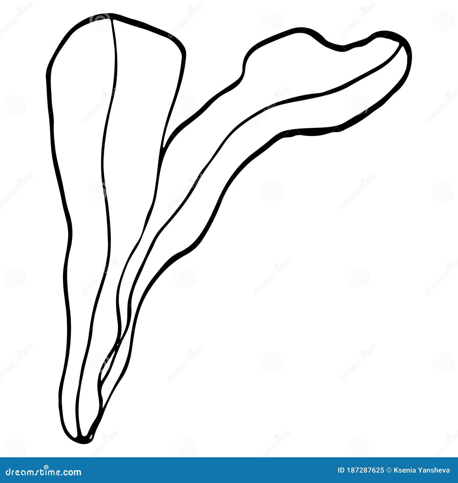 Cute seaweed coloring page digital doodle outline art stock illustration