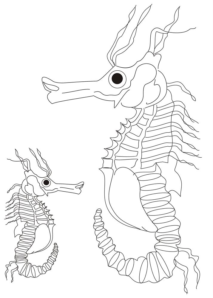 Sea horse coloring pages