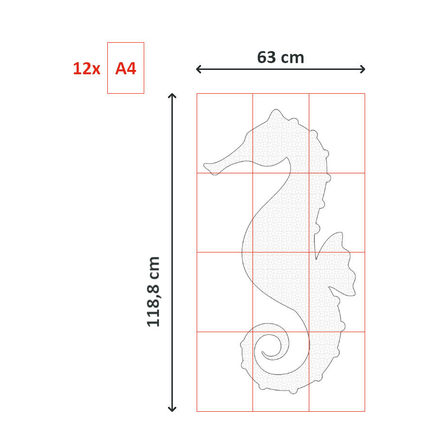 Seahorse coloring pages poster