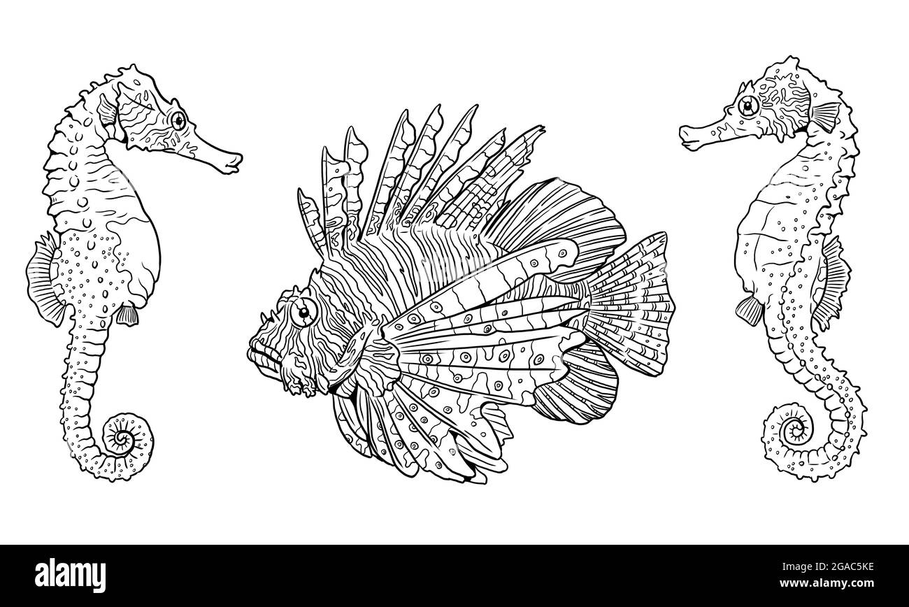 Tropical red lionfish and seahorses in nature among coral reefs colorful sea fishes template coloring book for children and adults stock photo