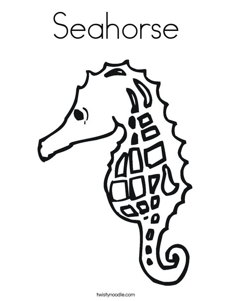 Seahorse coloring page