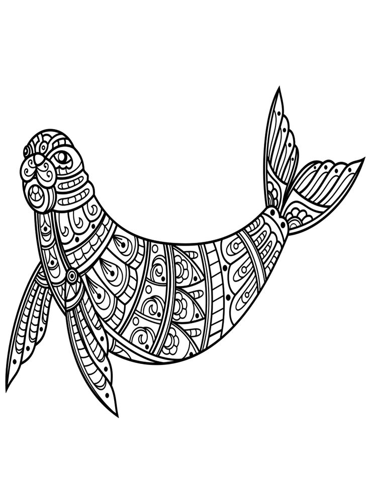 Pin on zentangle animal coloring pages