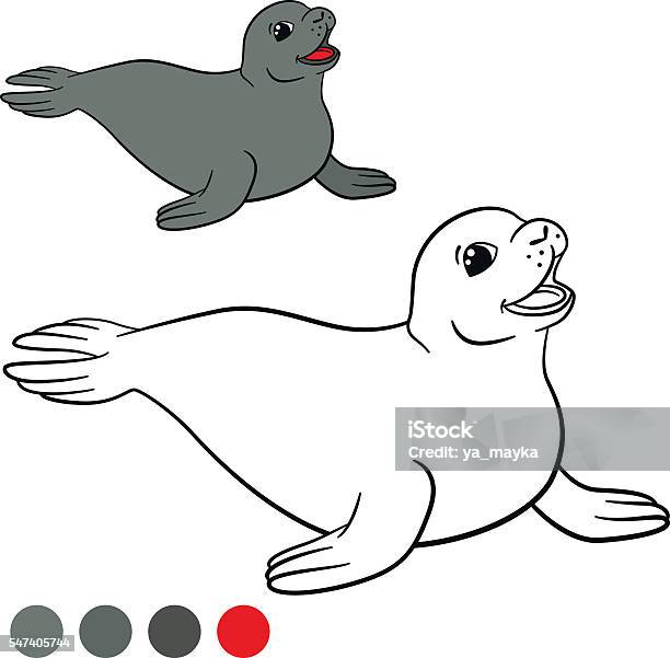 Coloring page with colors little cute gray seal stock illustration