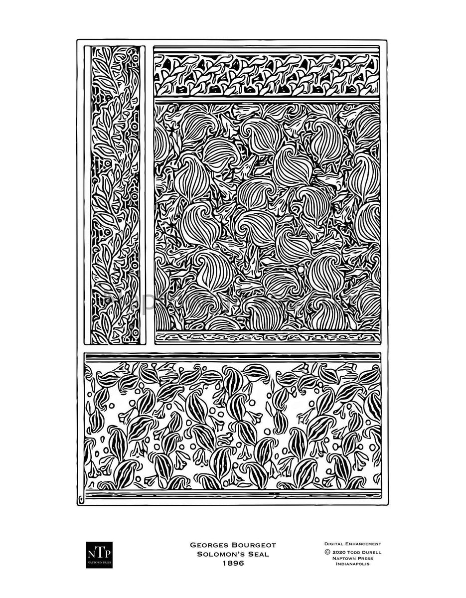 Printable coloring page art nouveau flowers solomons seal â naptown press