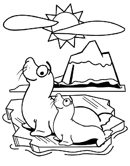Seal coloring page