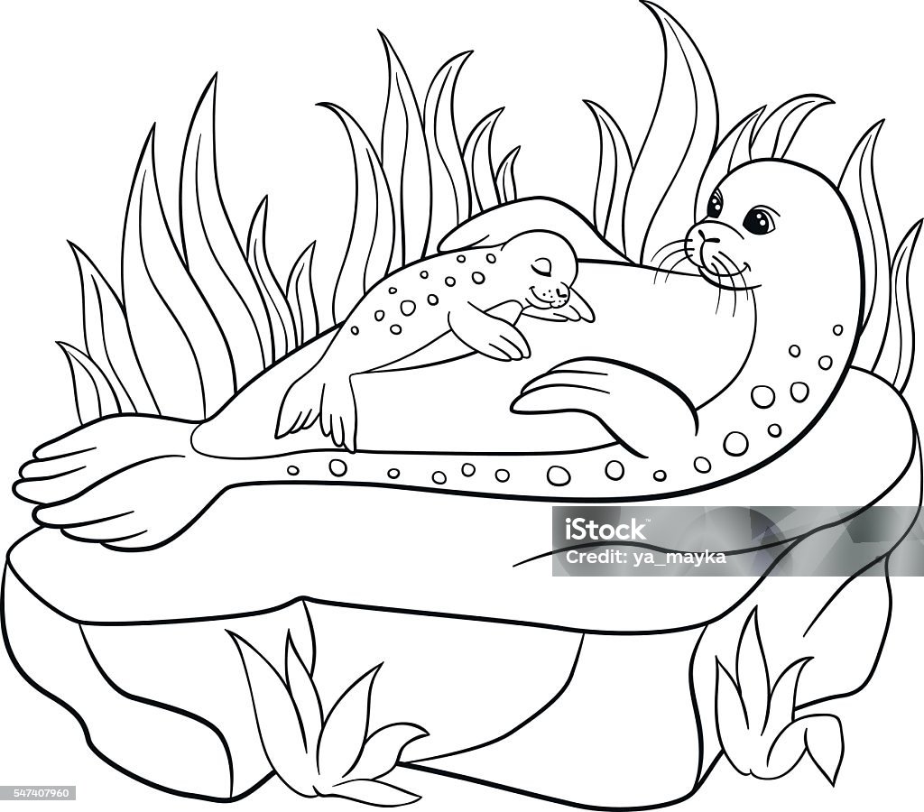 Coloring pages mother seal with her little cute baby stock illustration