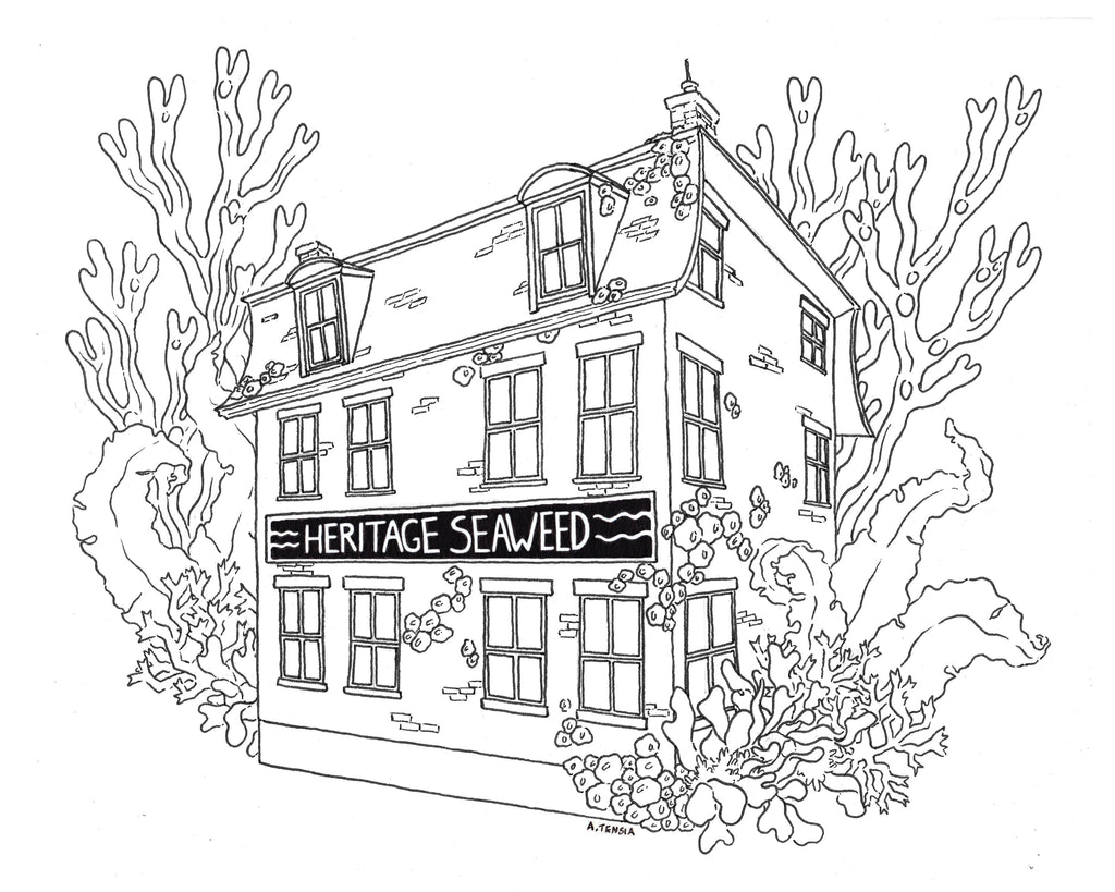 Heritage seaweed shop coloring page