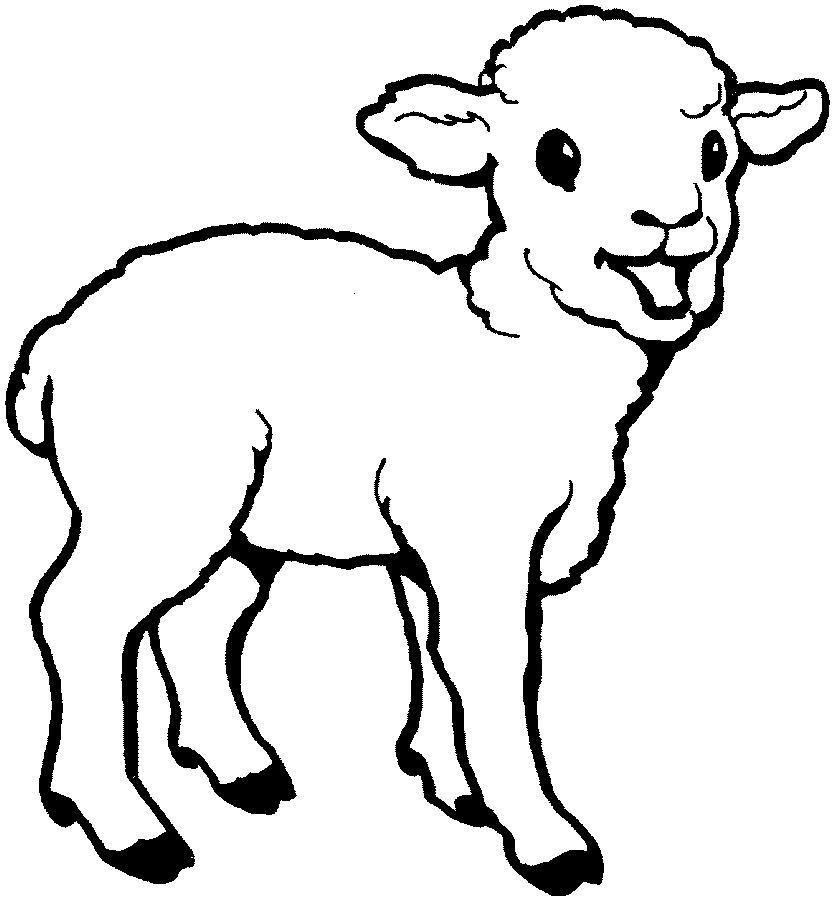 Sheep coloring pages by coloringpageswk on