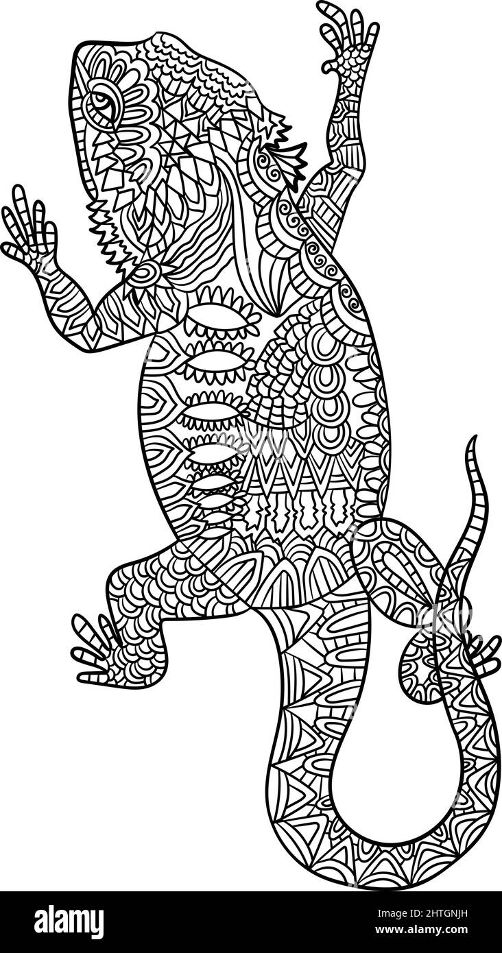 Pet bearded dragon stock vector images