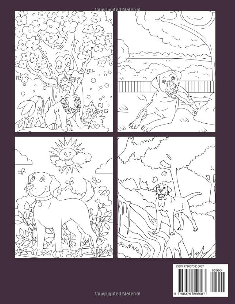 Labrador dog coloring book fun and easy coloring pages in cute style for all ages to relax and unwind joy rainbow books