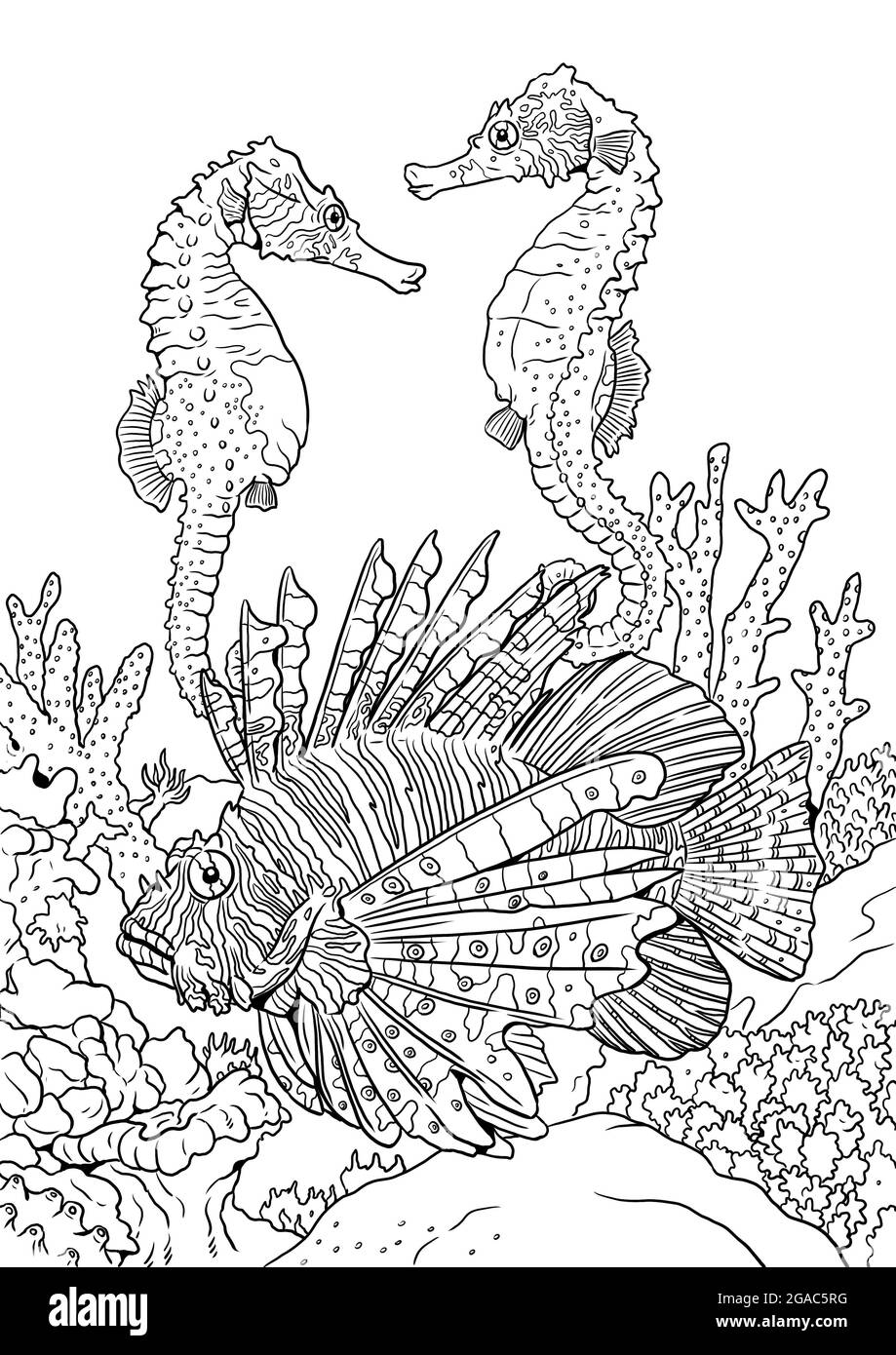 Coral coloring hi
