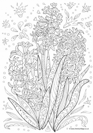 Hyacinth louring page