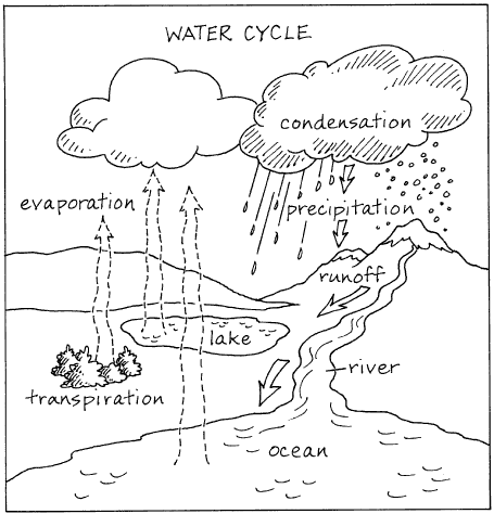 Water cycle