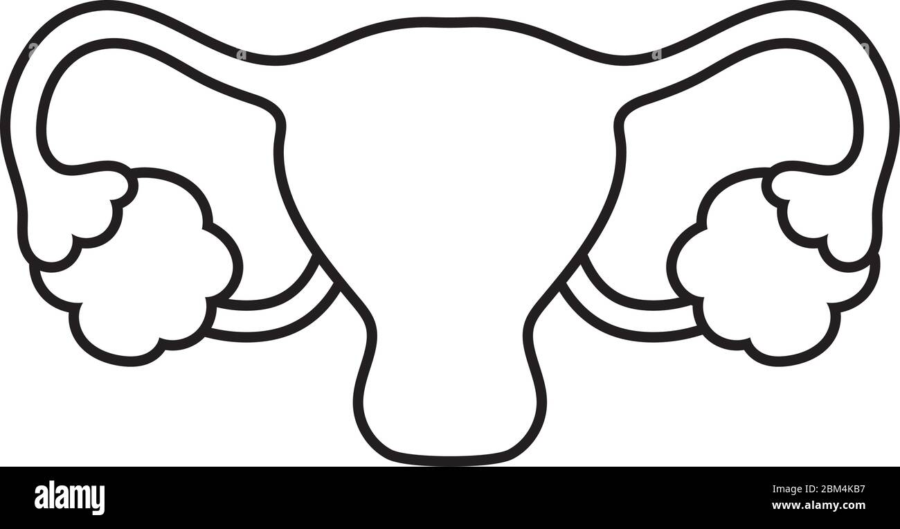 Sistema reproductor femenino diseão de iconos de tilo de lãnea de atenciãn mãdica tema de salud y emergencia ilustraciãn vectorial imagen vector de stock