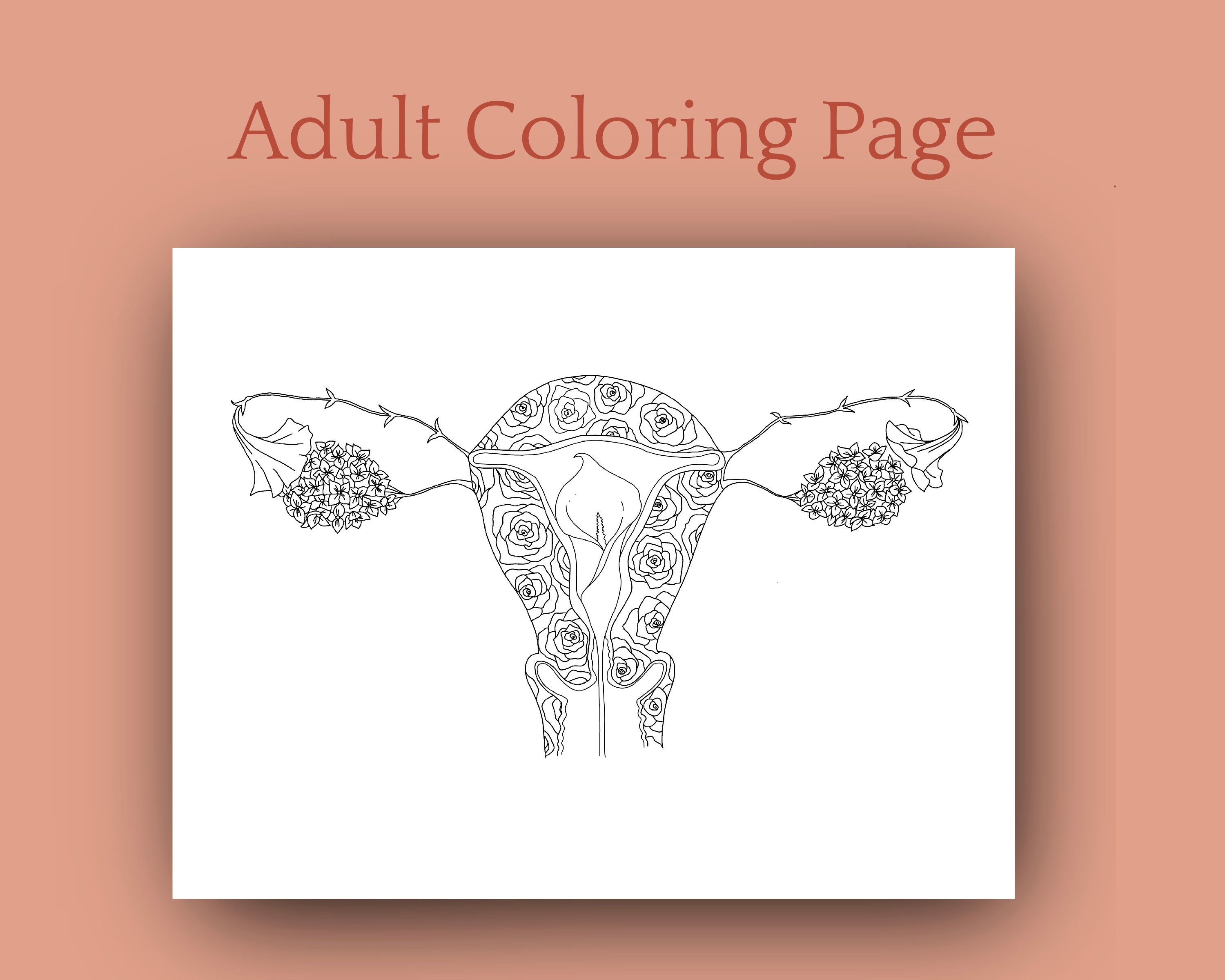 Uterus coloring page