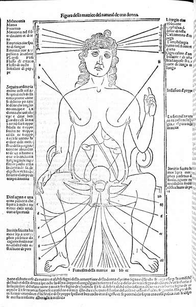 Aparato reproductor femenino