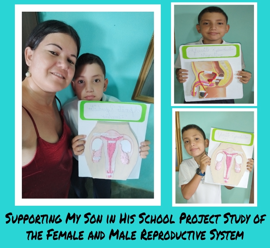 Apoyando a mi hijo en el estudio de su proyecto escolar sobre el aparato reproductor femenino y masculino esping â