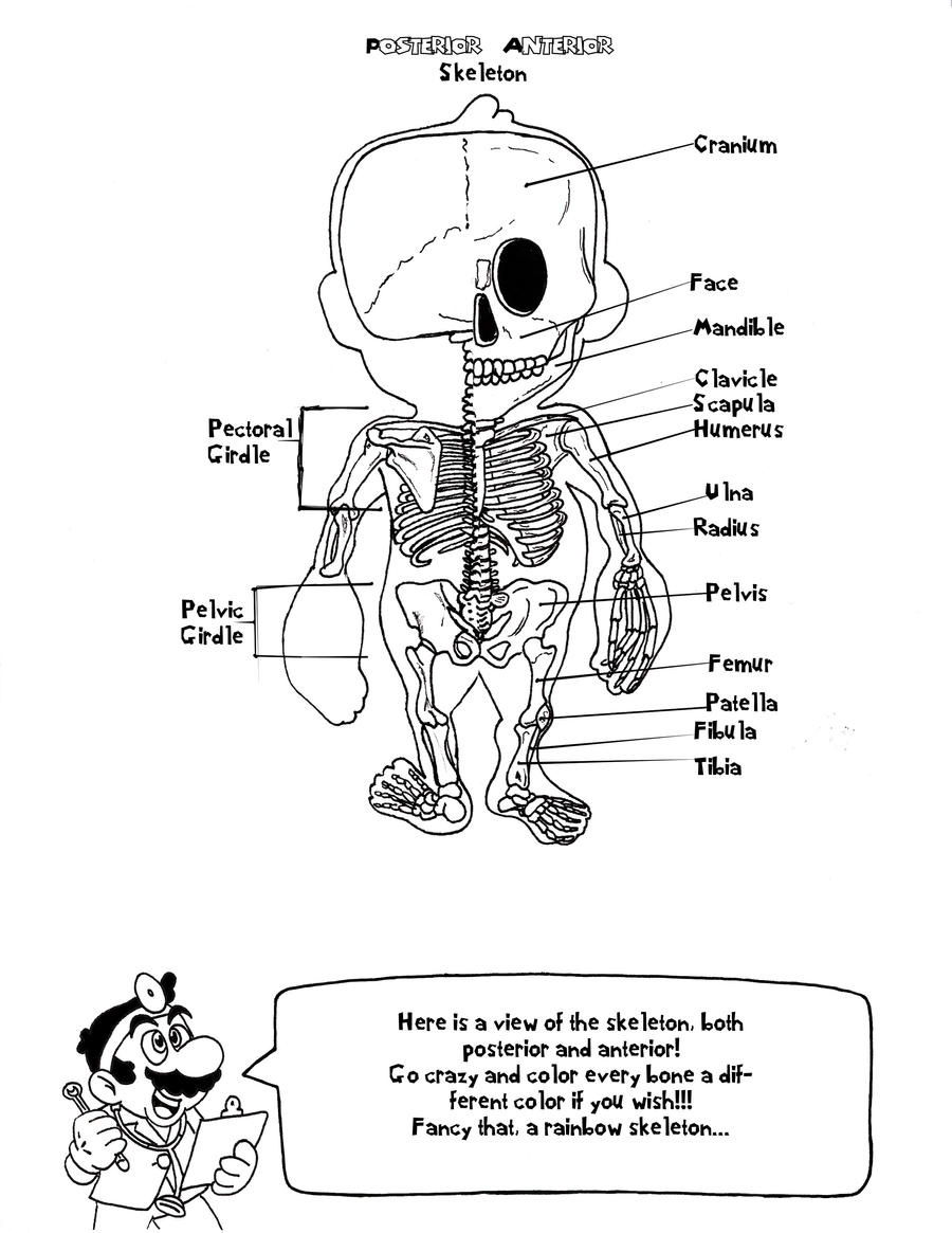 Doctor marios anatomy coloring book page by ambrosianburbank on