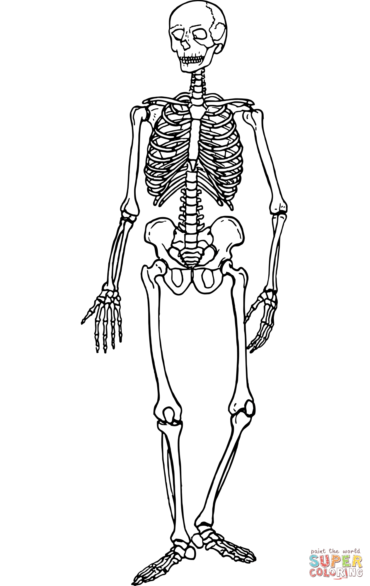 Vintage skeleton coloring page free printable coloring pages