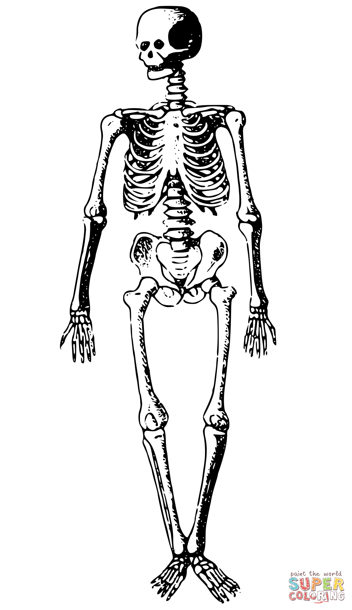 Vintage skeleton coloring page free printable coloring pages