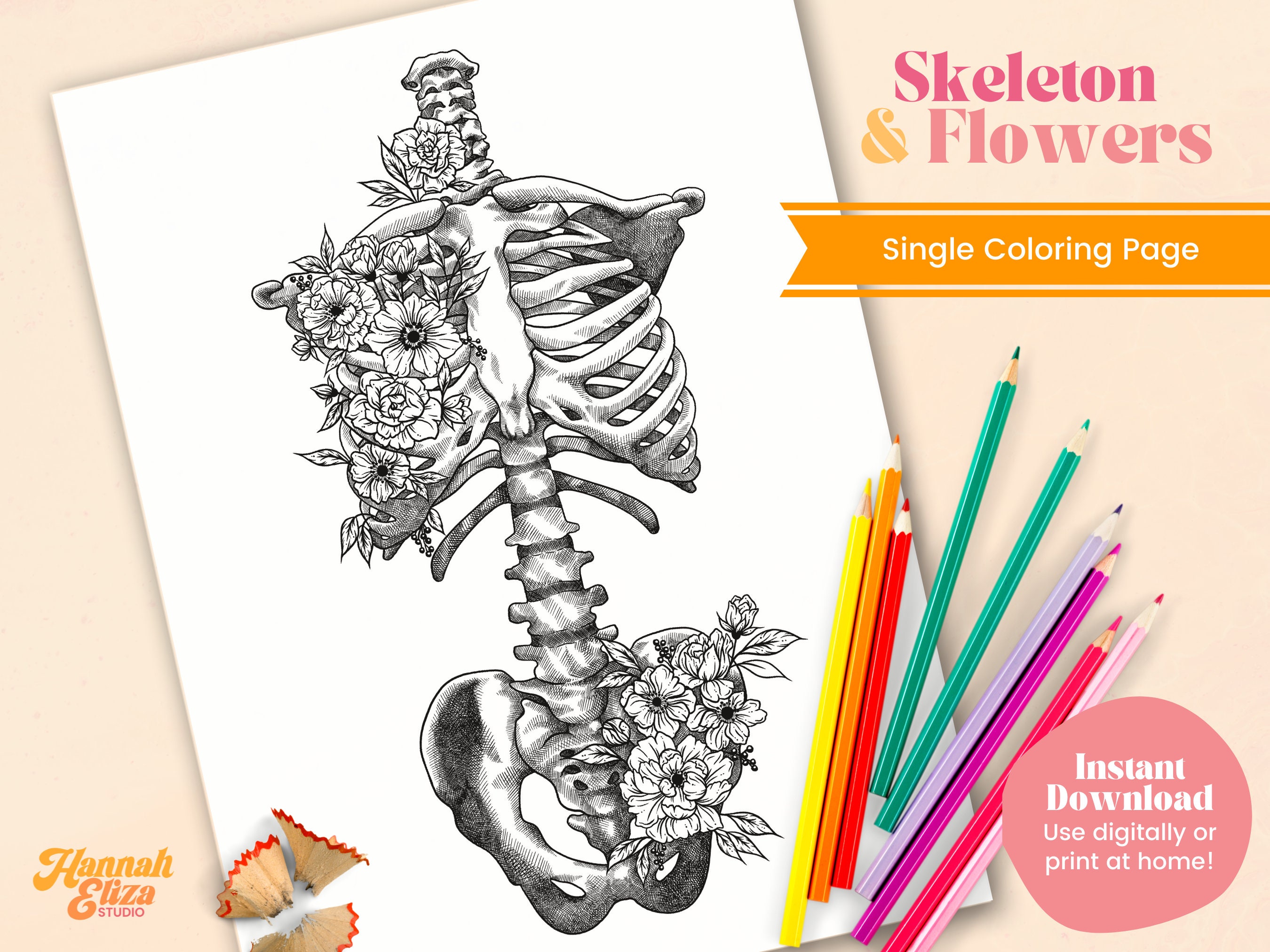 Skeleton color pages