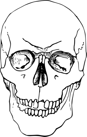 Vintage skull coloring page free printable coloring pages