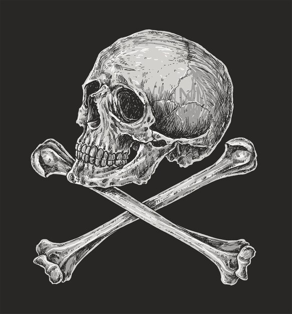 Page vintage skeleton images