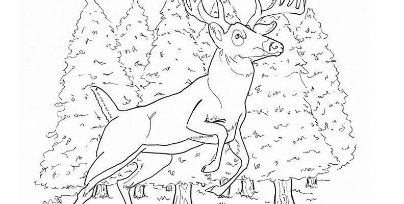 Tag nature colouring sheet scyap