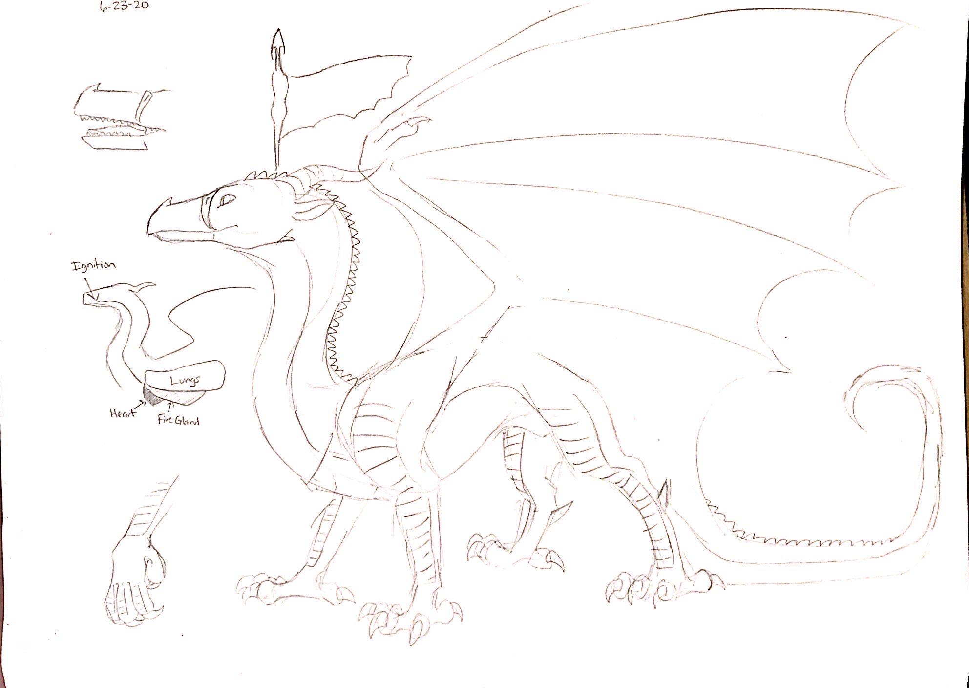 Skywing speculative anatomy rwingsoffire