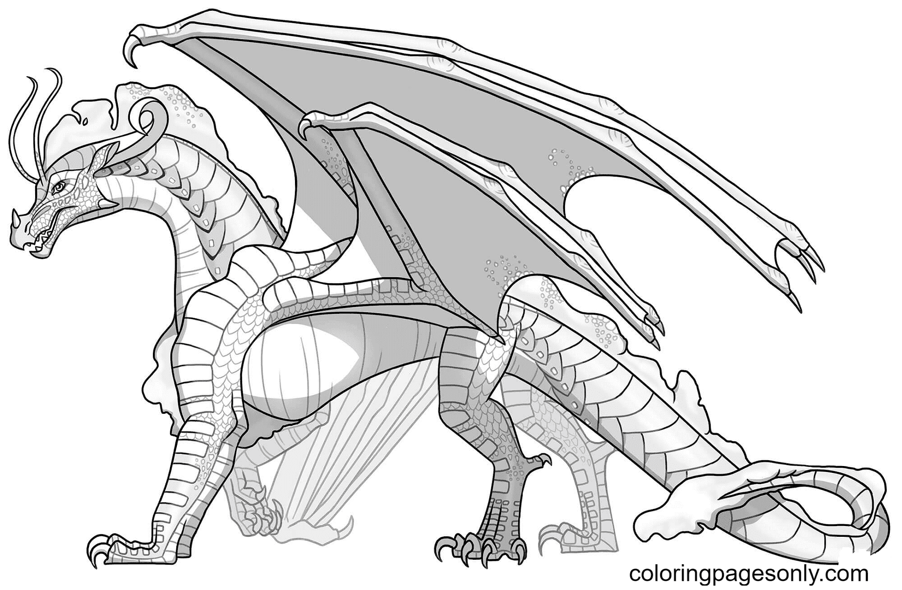 Skywing dragon printable coloring page