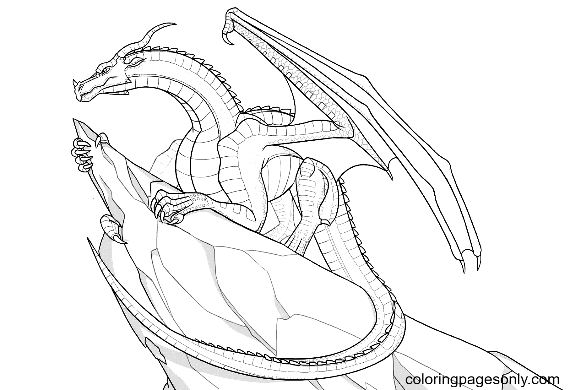 Skywing dragon worksheet