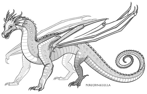 Rainwing dragon coloring page free printable coloring pages