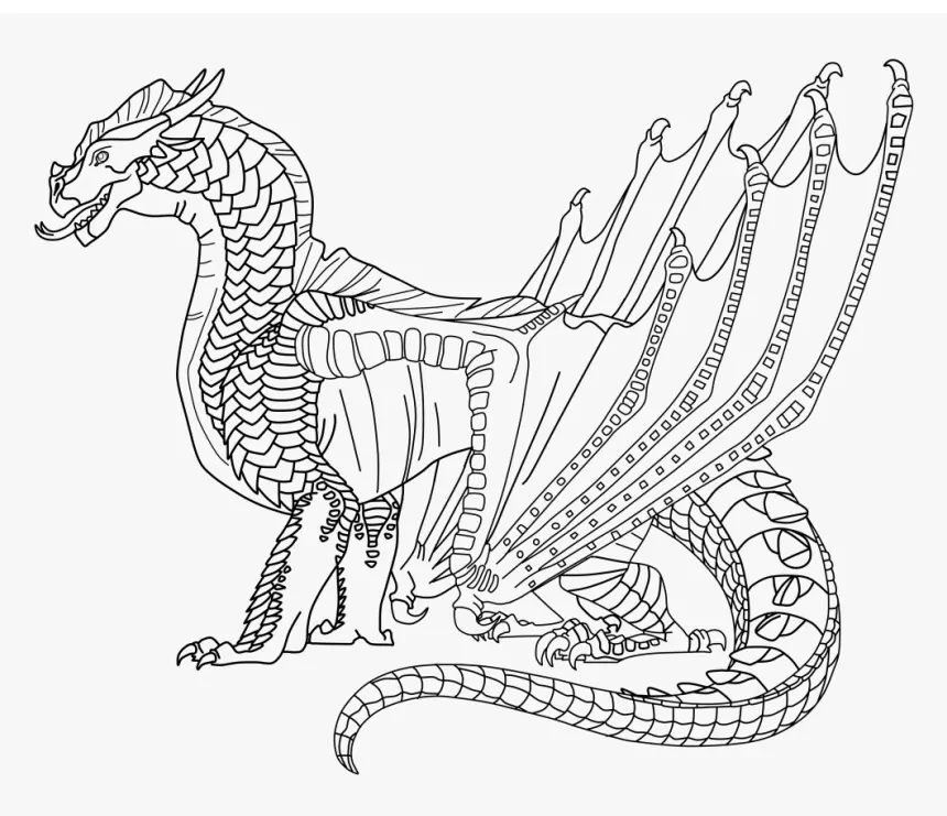 Skywing dragon fãrbung seite