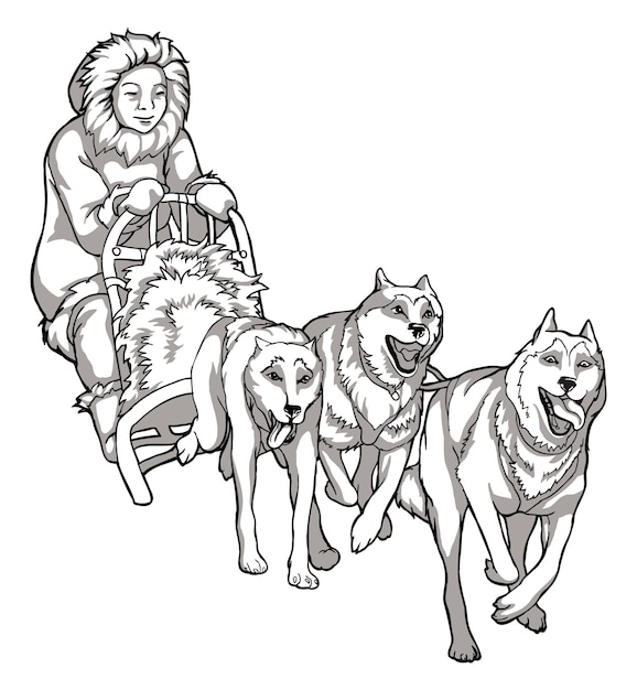 Premium vector sled dogs animal helpers linear drawing of dogs driving a man traditions of the northern peoples black and white drawing