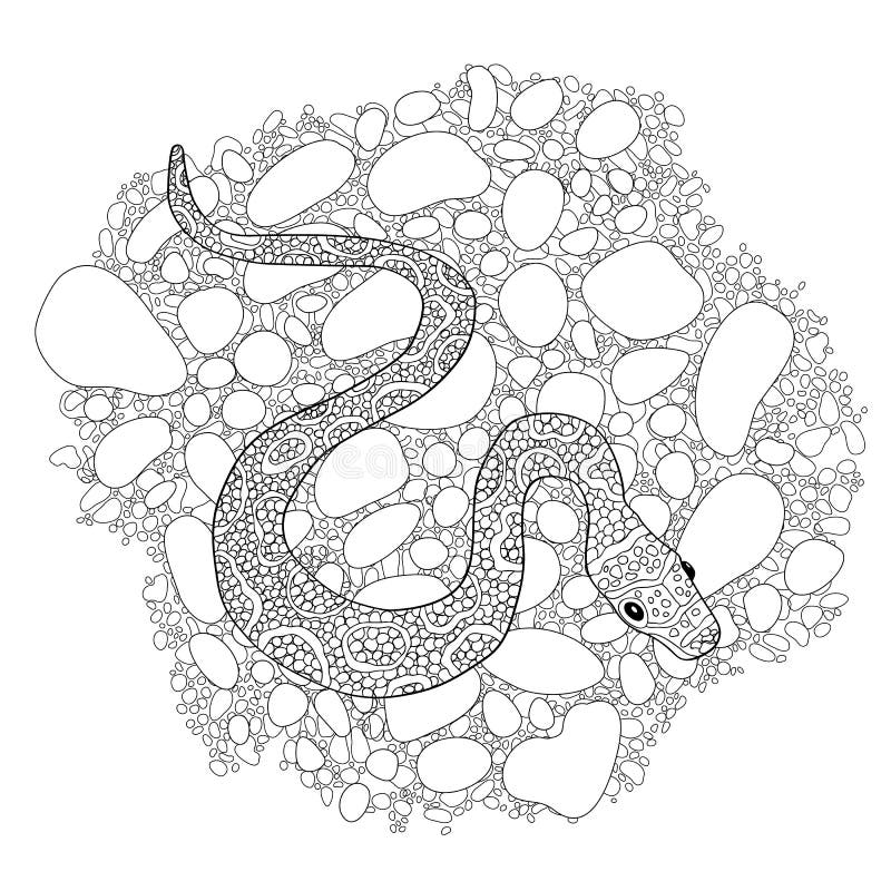 Hand drawn vector doodle outline snake decorated with ornamentsready for adult anti stress coloring book stock vector