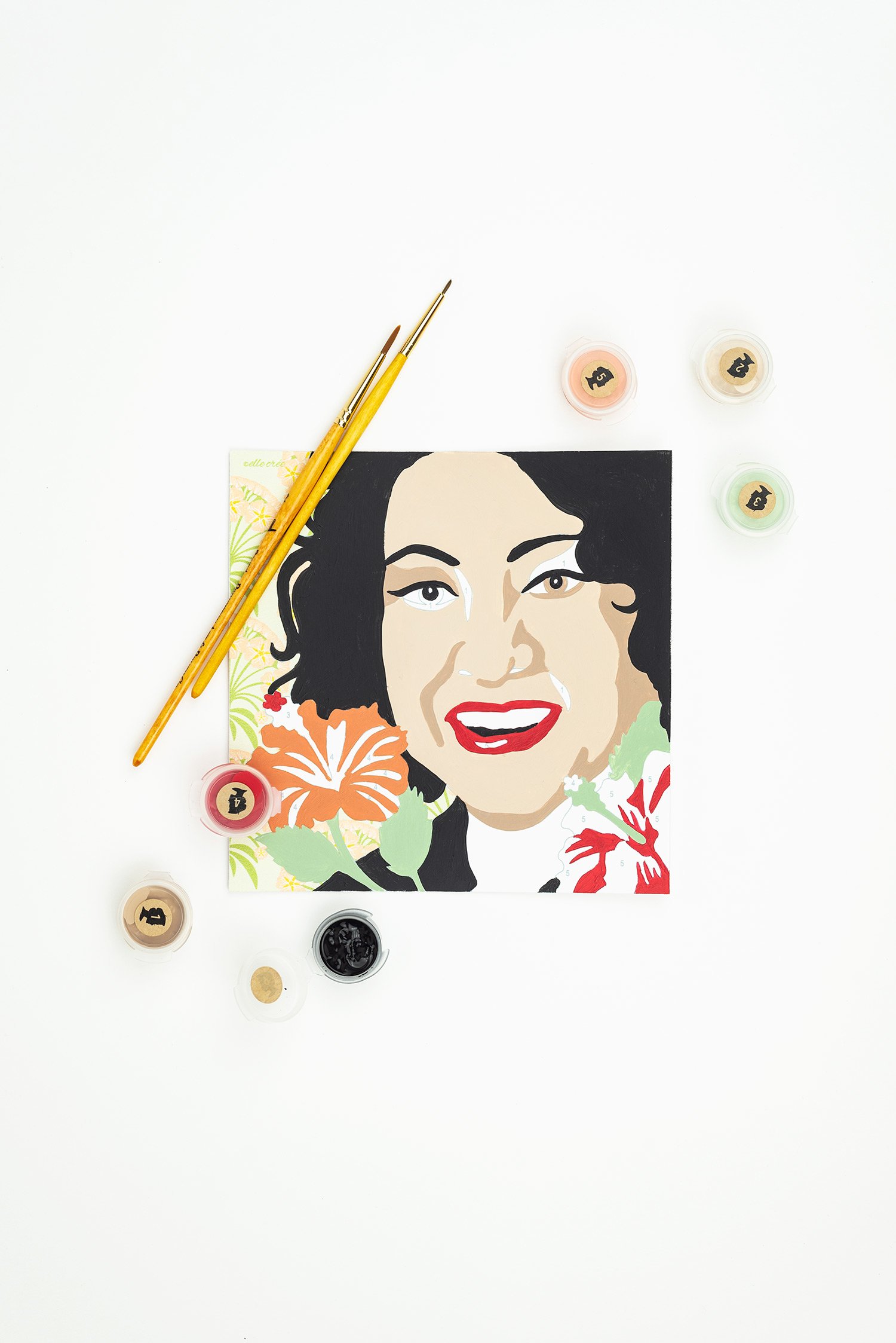 Sonia sotomayor paint