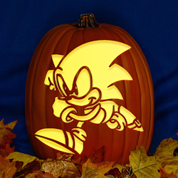 Sonic the hedgehog co