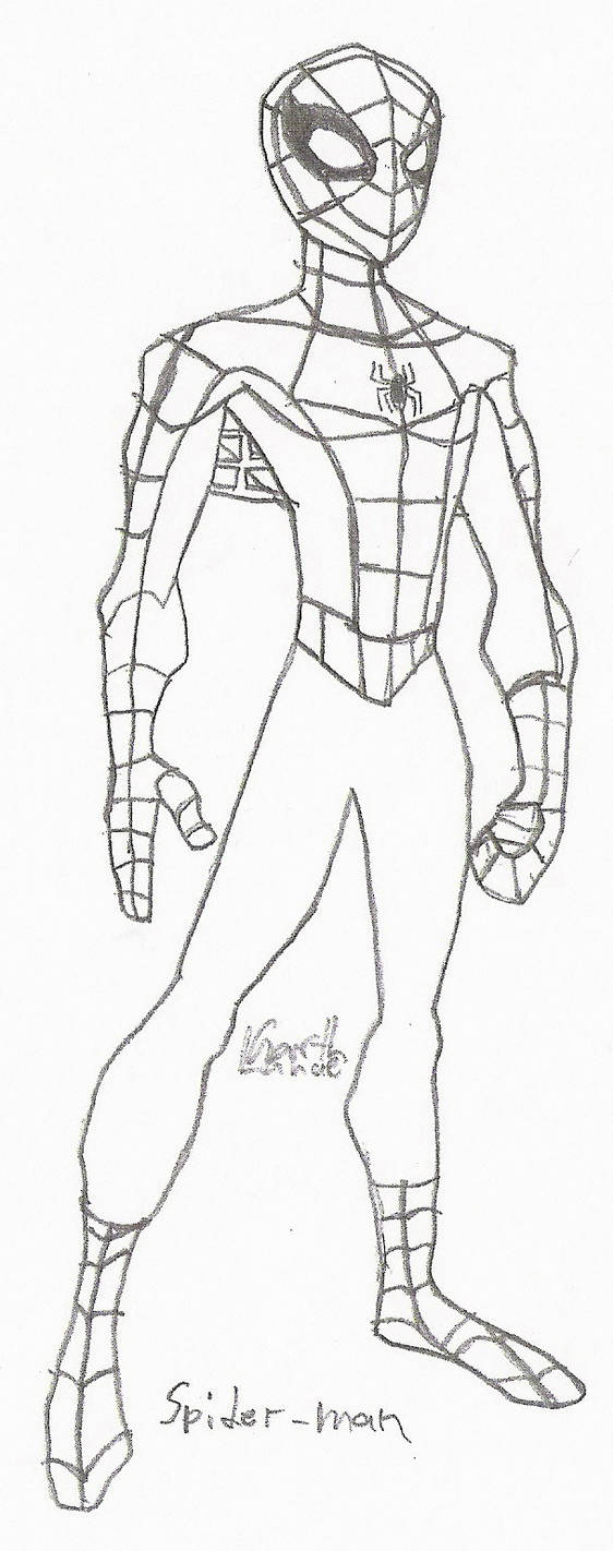 Spectacular spider
