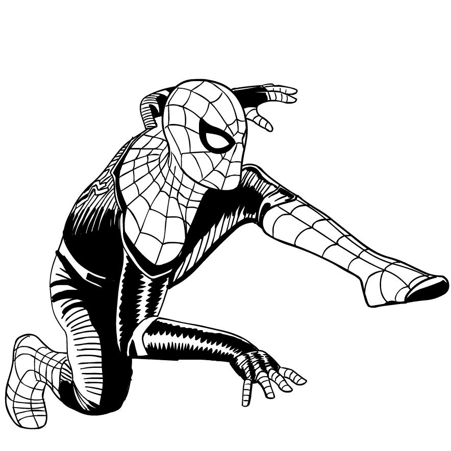 Spider